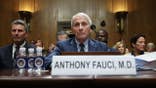 Anthony Fauci testifies before the Senate Homeland Security and Governmental Affairs Committee in Washington, D.C.