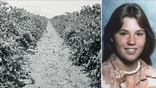 Michelle Collier identified nearly 50 years after body found in California vineyard