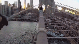 An NYPD Emergency Service Unit officer reaches a woman perched atop the steel cables of the Brooklyn Bridge before pulling her to safety.