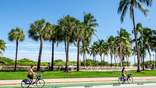 Cyclists ride near palm tree lined streets in southern Florida.
