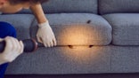 These are the best pest control products to really keep those bugs from taking over your home and yard.