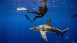 A shark swims under Jordan Lempke as she takes photos in the water off Jupiter, Florida.
