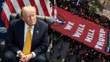 President Donald Trump