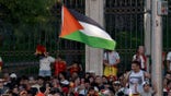 Palestinian flag at World Cup celebrations