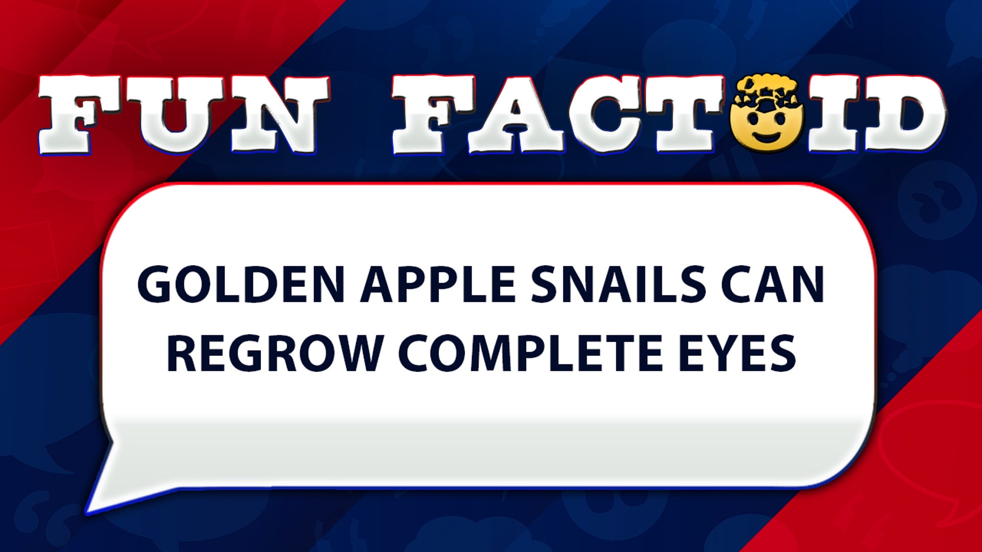 Golden apple snails can regrow complete eyes