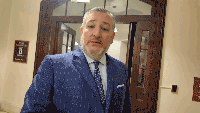 Ted Cruz says Anthony Fauci should face contempt charges, perjury prosecution and jail after pleading the Fifth over 100 times at a Senate hearing.