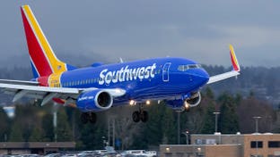 ICE arrests Southwest Airlines flight attendant in Nashville for allegedly overstaying visa since 2021