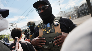 Controversial ICE tactic actually reduces unintended 'collateral' arrests: federal agent