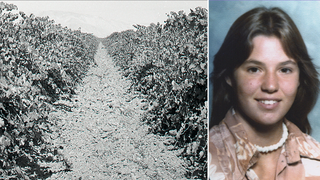 Teen found in shallow California vineyard grave identified nearly 50 years later as family warns killer
