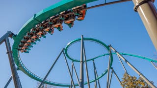 Terrifying scene unfolds at Six Flags as storm-toppled tree sends 4 guests to hospital