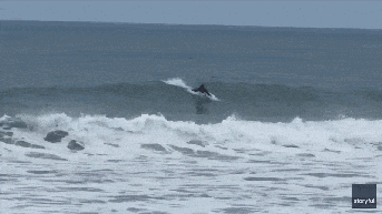 Shark Week shocker as great white breaches just yards from oblivious boogie boarder - Fox News