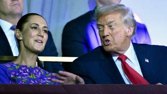 Mexico vows 'significant legal measures' against US after ICE shooting - Fox News