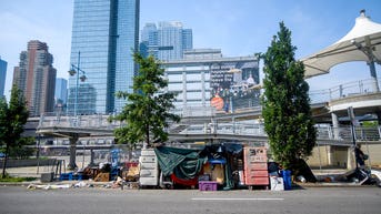 Trump wants to help 146,000 mentally ill who are homeless. Democrats want to stop him - Fox News