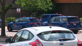 At least 2 people killed in 'significant' shooting at Michigan shopping center - Fox News