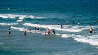 Shark Week advisory as warming seas push blacktips farther north along East Coast - Fox News