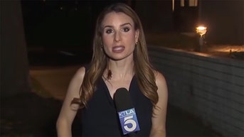 Unwanted pest crashes live Los Angeles news report and the internet loses its mind - Fox News