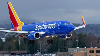 Southwest flight attendant nabbed on the job had overstayed his welcome for years: ICE - Fox News