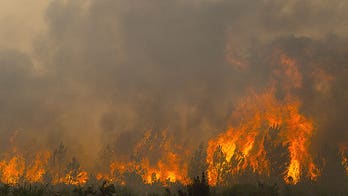 Deadly French wildfires threaten missile plants, nuclear sites as fourth heatwave looms