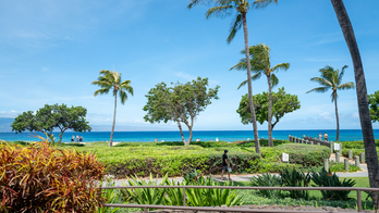 California family members claim they were attacked at luxury Maui resort during violent melee