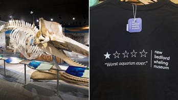 'Worst aquarium ever' review sends whaling museum's sales soaring 250%