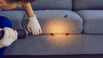 Pest control experts swear by these products to keep bugs and mice away