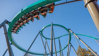 Terrifying scene unfolds at Six Flags as storm-toppled tree sends 4 guests to hospital