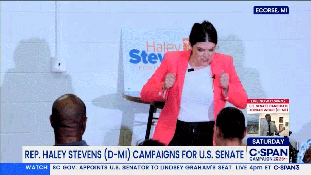 Rep. Haley Stevens, D-Mich., went viral for her "little bit of stick-it-to-ya" campaign stump quip.