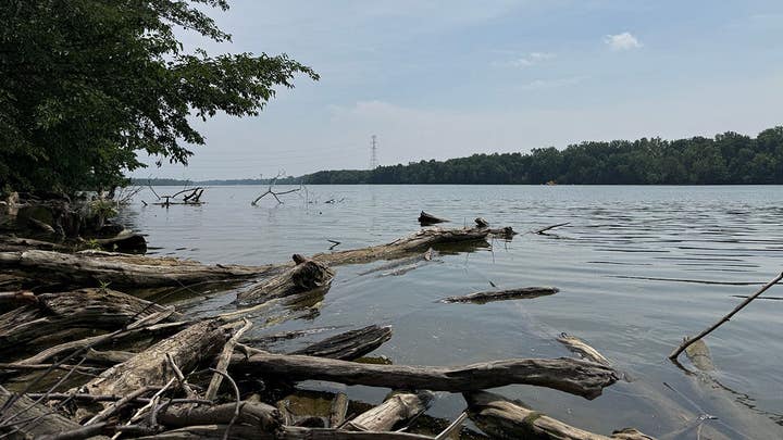 5 dead in attempt to save a struggling swimmer in Ohio's Scioto River