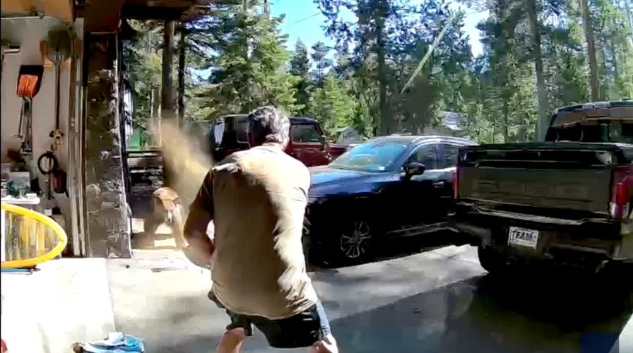 Un hombre de Lake Tahoe usa spray antiosos en un encuentro espectacular