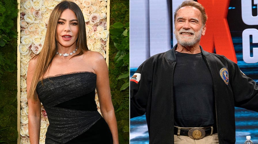 Danny DeVito says he and Arnold Schwarzenegger are actively looking to make another movie together