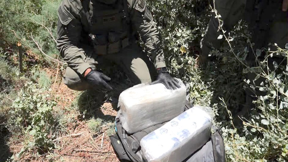 IDF seized illegal drugs on border with Jordan.