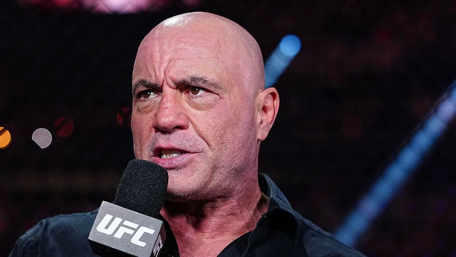 Rogan shreds supporters of Lindsay Clancy, says they wouldn't rally if a father were on trial for same crime