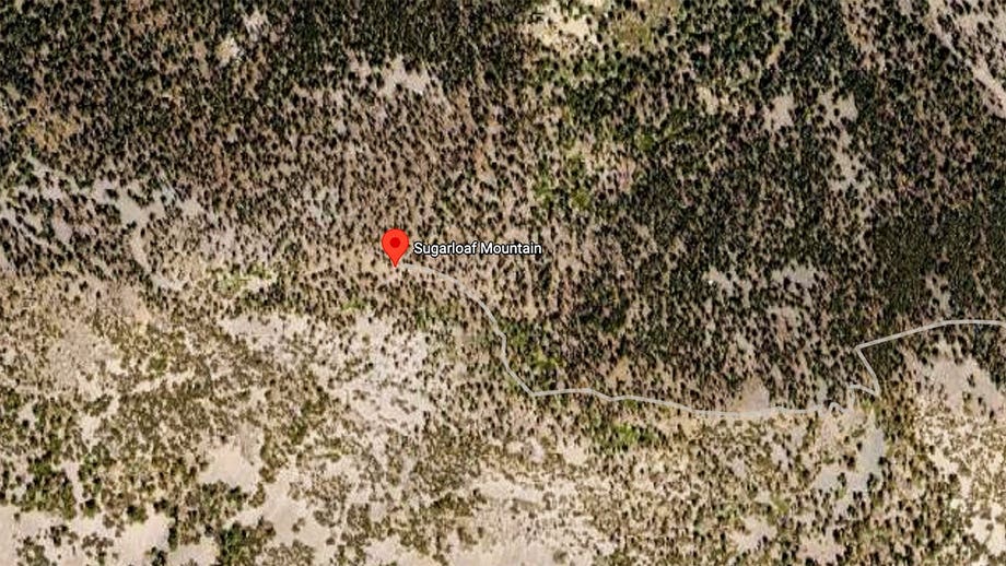 Mystery of millionaire found in shallow grave finally solved more than four decades after disappearance