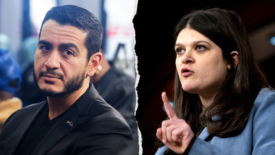 Key races unfold as Stevens, El-Sayed battle for Michigan Senate nomination