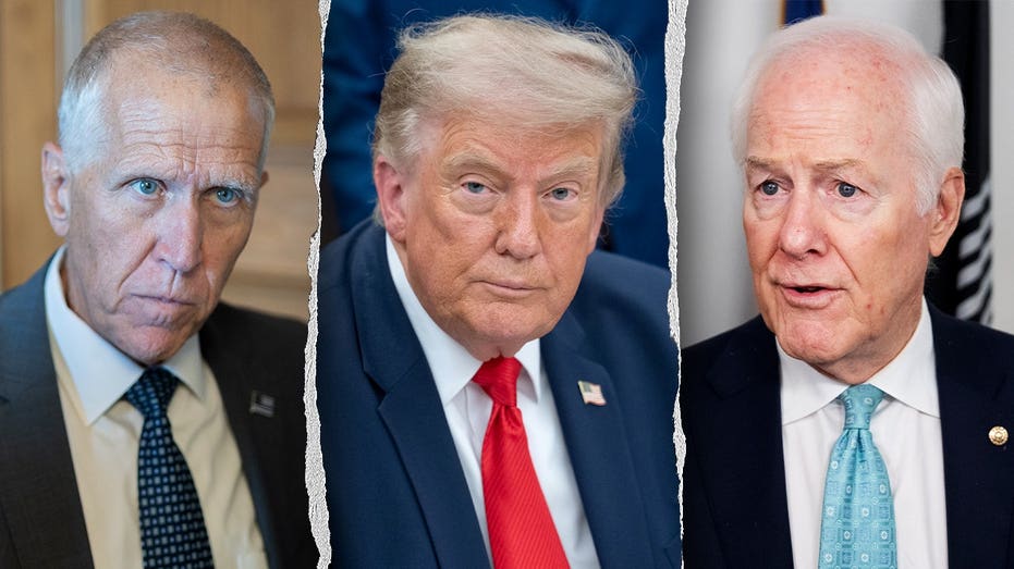 Critics rage at rogue red-state senators for blocking Todd Blanche after backing Biden's pick