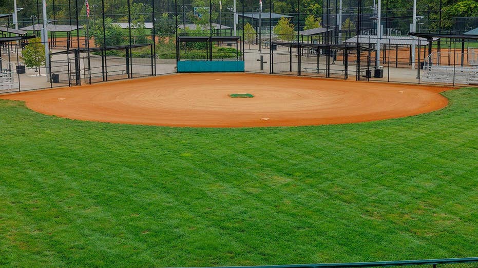 Vegas Little League president accused of spending league money on strip clubs and erectile dysfunction meds