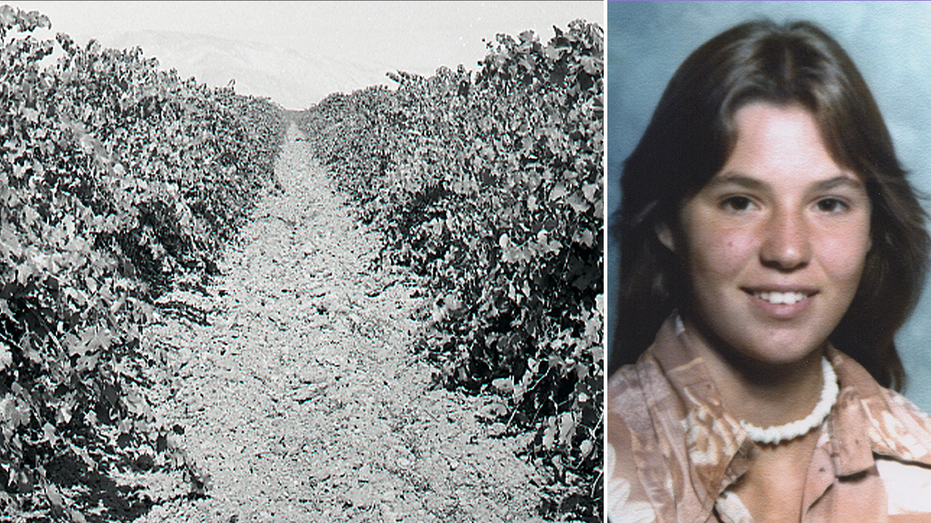 Teen found in shallow California vineyard grave identified nearly 50 years later as family warns killer