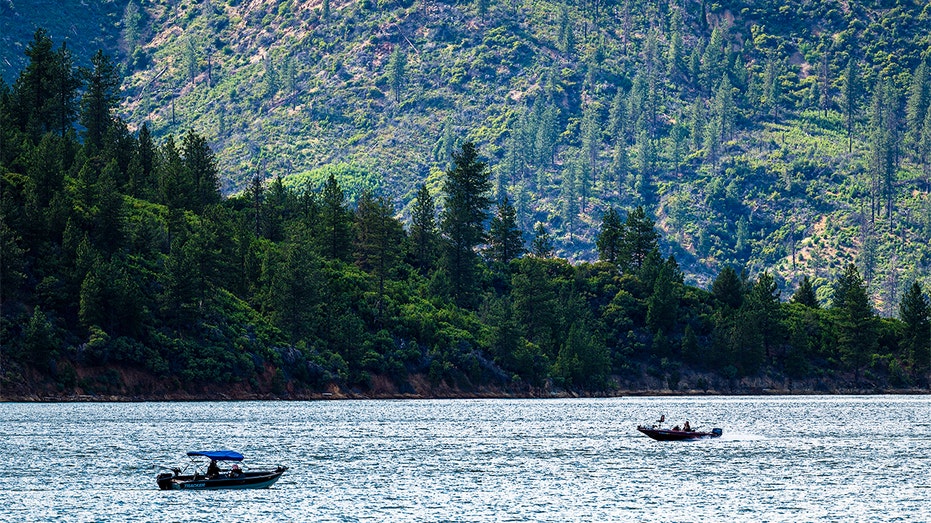 US forest service workers kidnapped, ziptied for hours by father-son duo: California AG