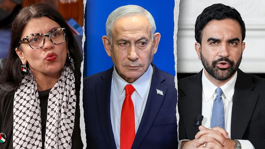WATCH: Tlaib tells Mamdani to ‘call me’ for help arresting Netanyahu as Democrats remain divided