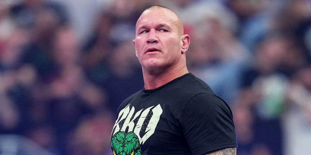 スポーツ選手 wwe series4 SummerSlam results: CM Punk wins Undisputed WWE title after Randy