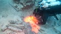 Ancient shipwreck gives up dazzling treasures after more than 1,300 years underwater - Fox News