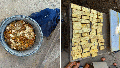 Construction workers uncover $10 million in gold while building sewer under former brewery - Fox News