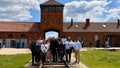 What our students learned at Auschwitz could help end hate in higher education - Fox News