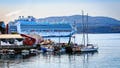 Popular cruise destination urges ships to steer clear of scenic fjords after complaints - Fox News