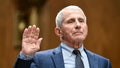 Fauci texts suggest officials were &lsquo;too slow to pivot' amid pandemic, says Dr Marc Siegel - Fox News