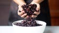 The 8 healthiest beans you should be eating more often, according to nutrition expert - Fox News