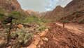 Deadly Grand Canyon flooding knocks out critical water line amid race to find missing hikers - Fox News