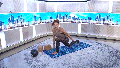 'Perfect' workout formula can take just 10 minutes a day, Hilaria Baldwin says - Fox News