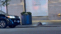 Mystery trio in headlamps and overalls emerges from Manhattan manhole, prompting NYPD probe - Fox News