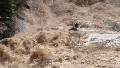 Tourists cling to each other in desperate struggle as raging flood sweeps them down waterfall - Fox News